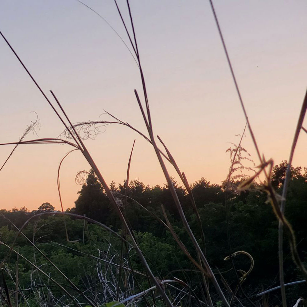 bushcraft campsite minami-soma fukushima  japan
