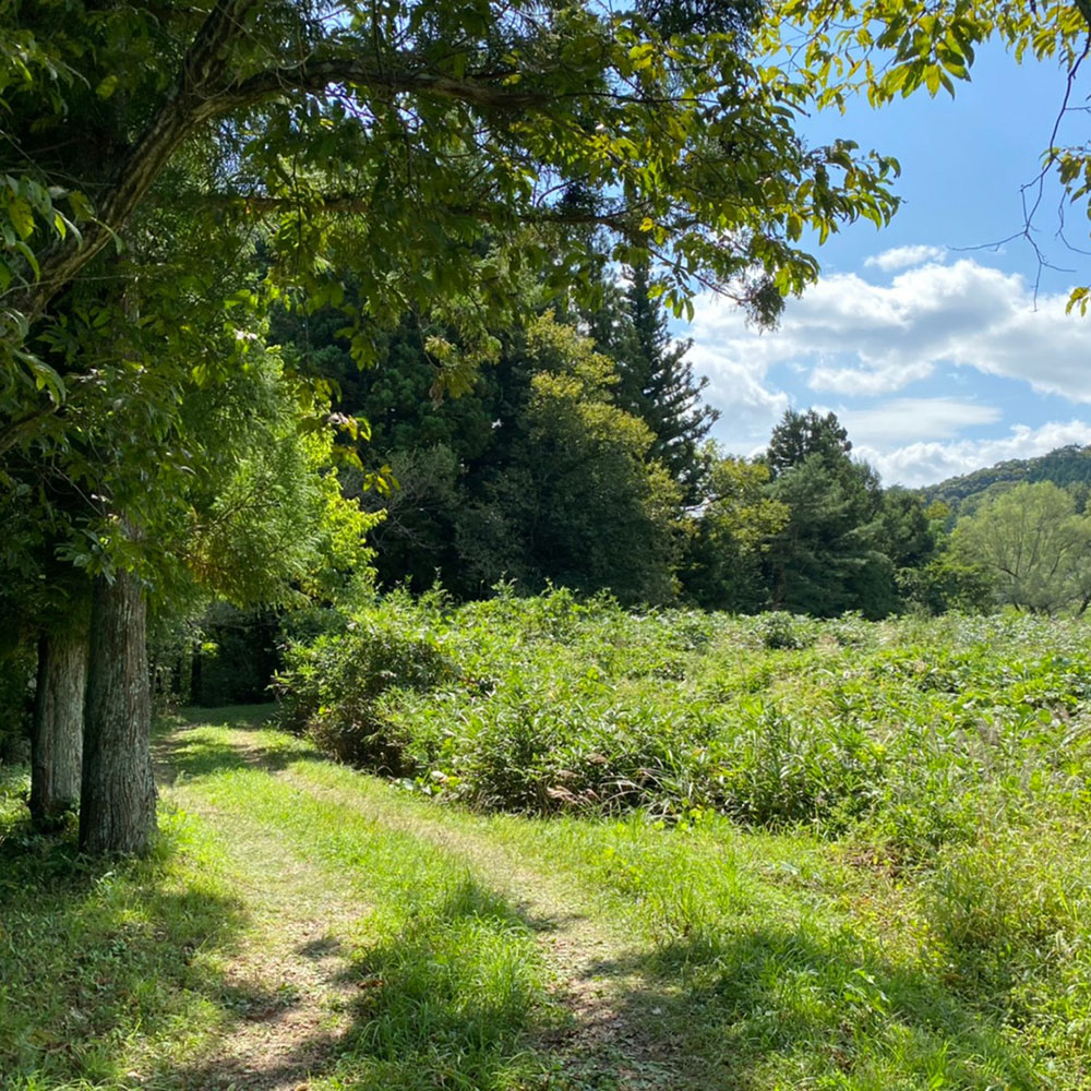 bushcraft campsite nishigo fukushima  japan