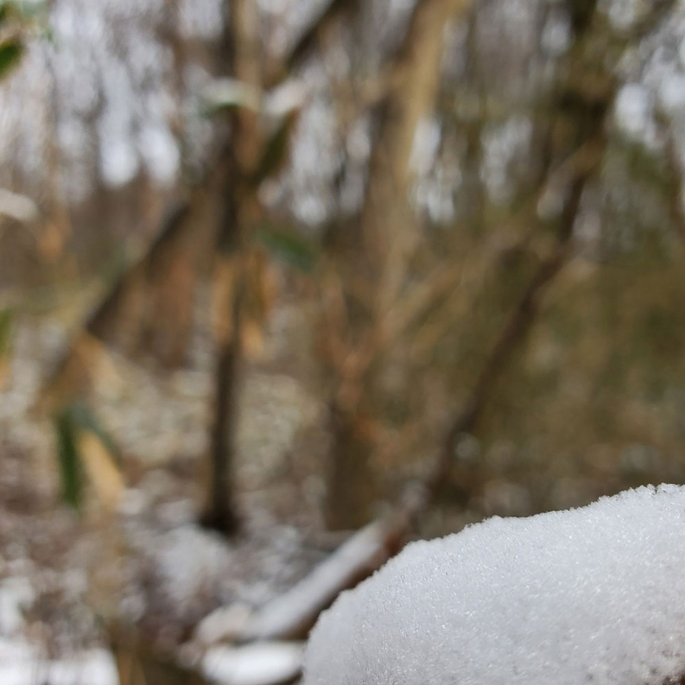 bushcraft campsite nishigo fukushima  japan