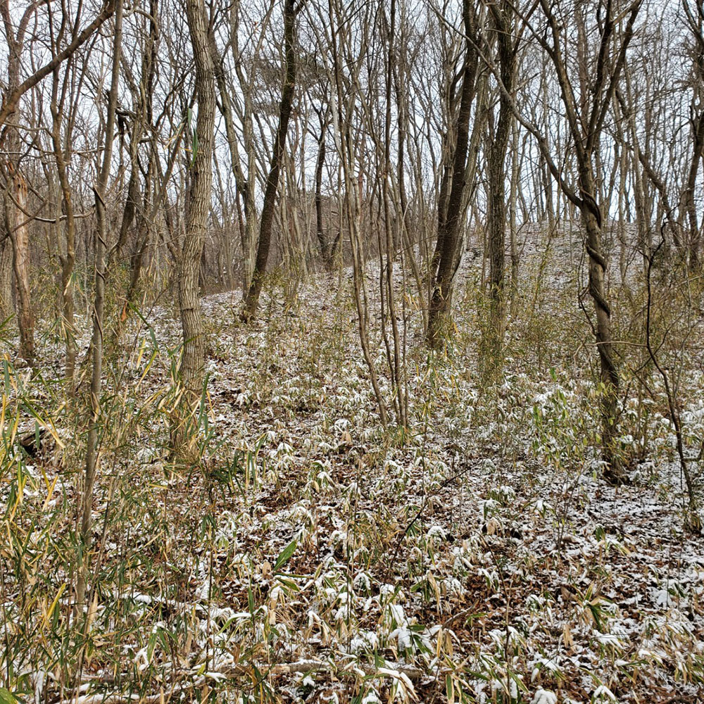 bushcraft campsite nishigo fukushima  japan