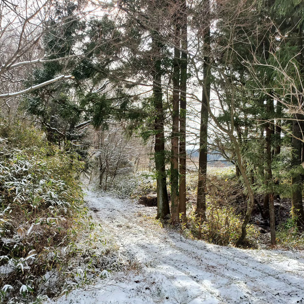 bushcraft campsite nishigo fukushima  japan
