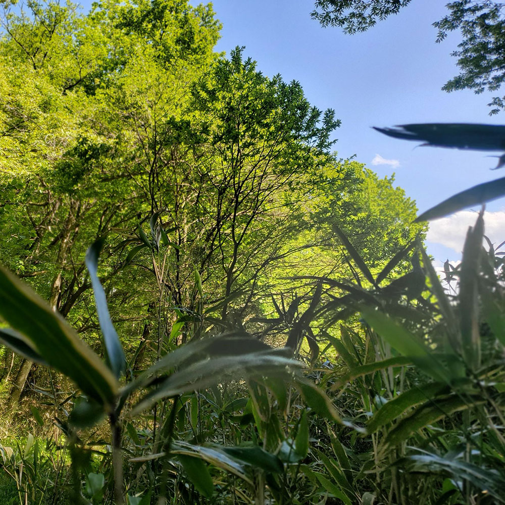bushcraft campsite nishigo fukushima  japan
