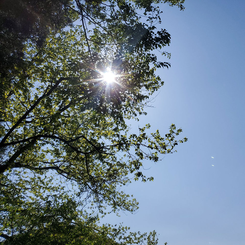 bushcraft campsite nishigo fukushima  japan