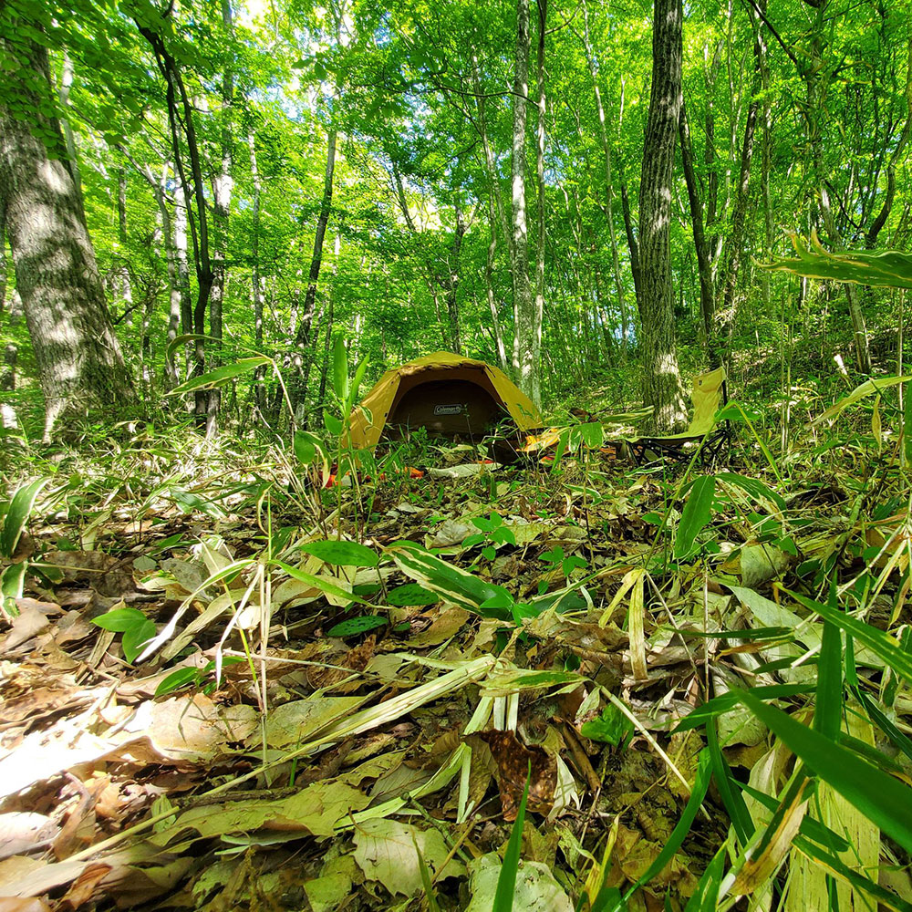 bushcraft campsite nishigo fukushima  japan