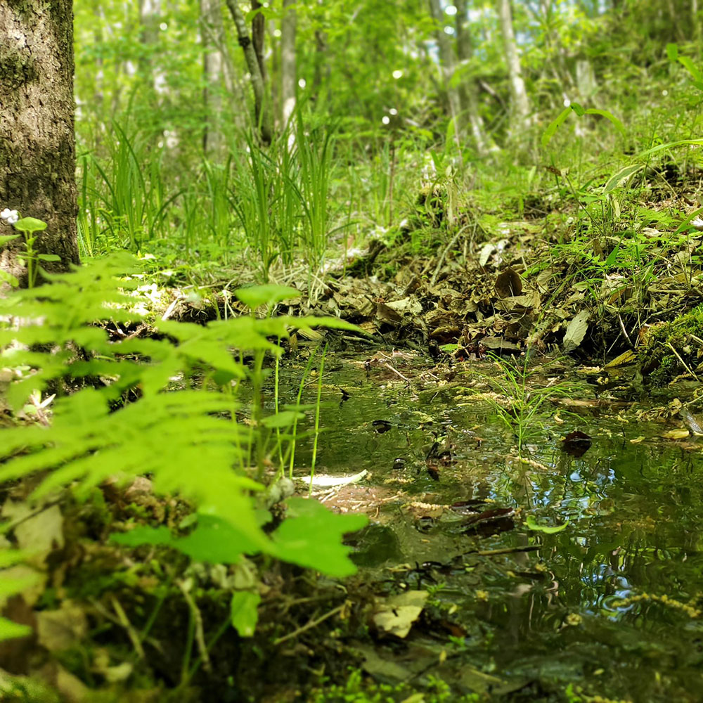 bushcraft campsite nishigo fukushima  japan