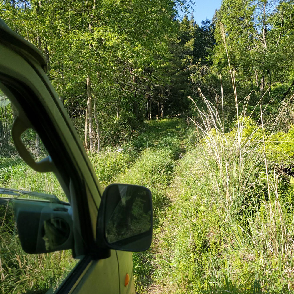 bushcraft campsite nishigo fukushima  japan