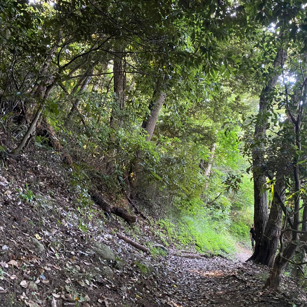 bushcraft campsite oiso shonan  kanagawa japan