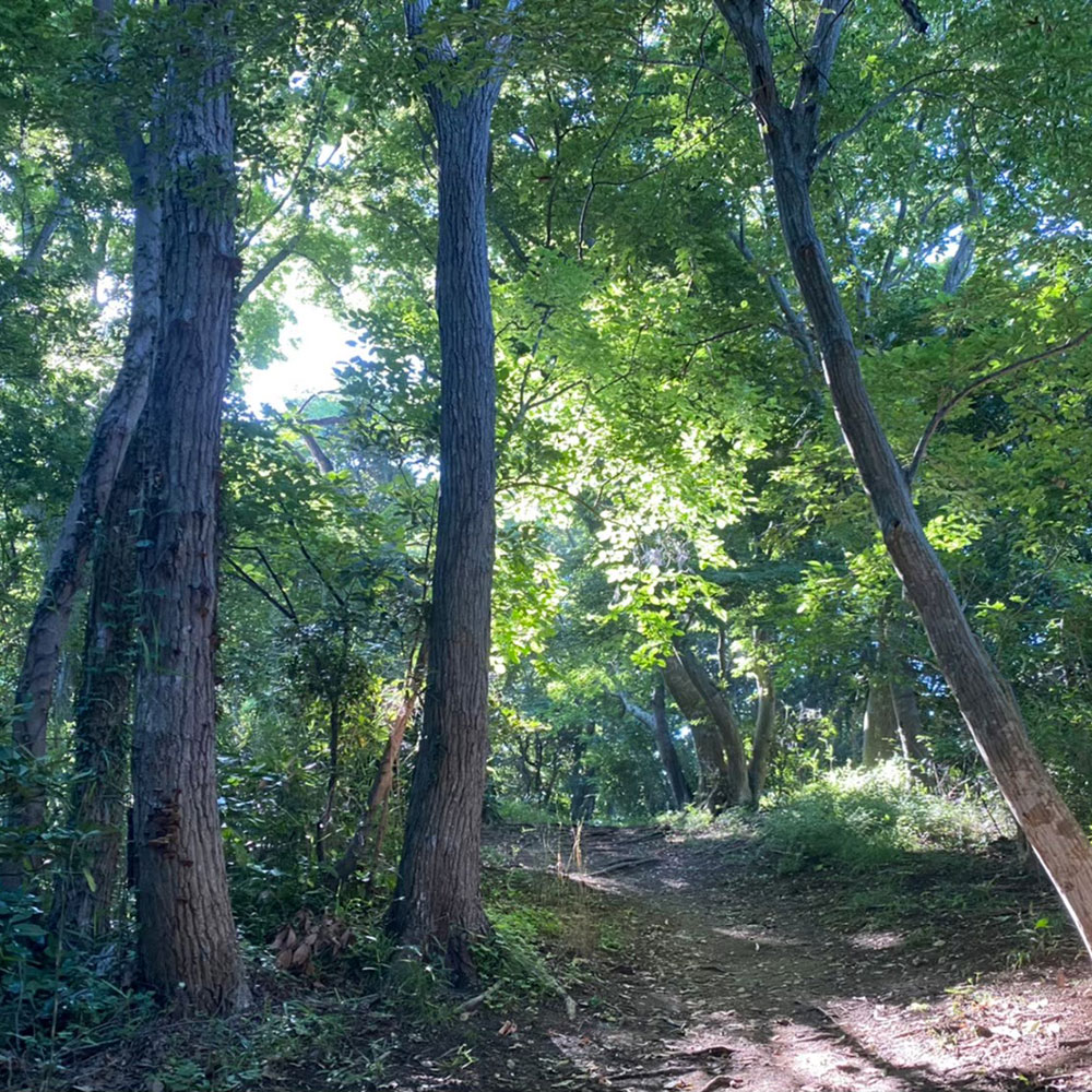 bushcraft campsite oiso shonan  kanagawa japan