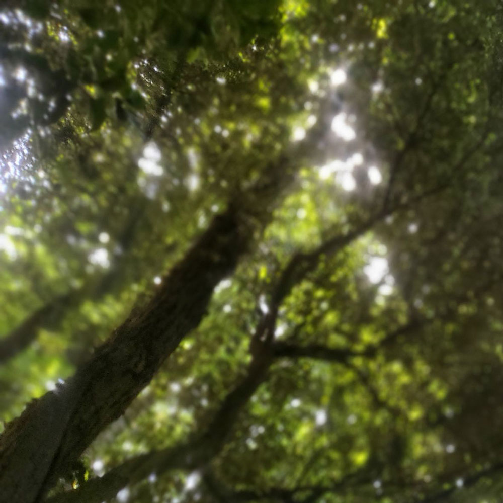 bushcraft campsite oiso shonan  kanagawa japan