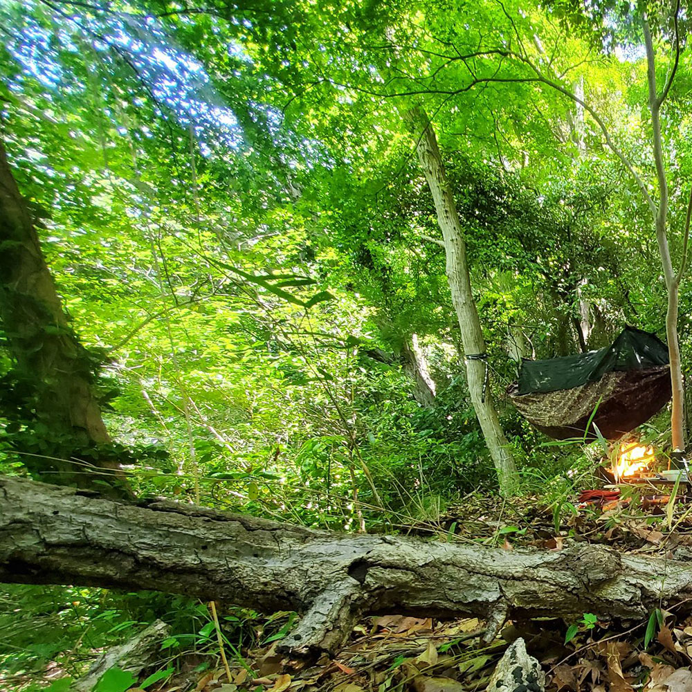 bushcraft campsite oiso shonan  kanagawa japan