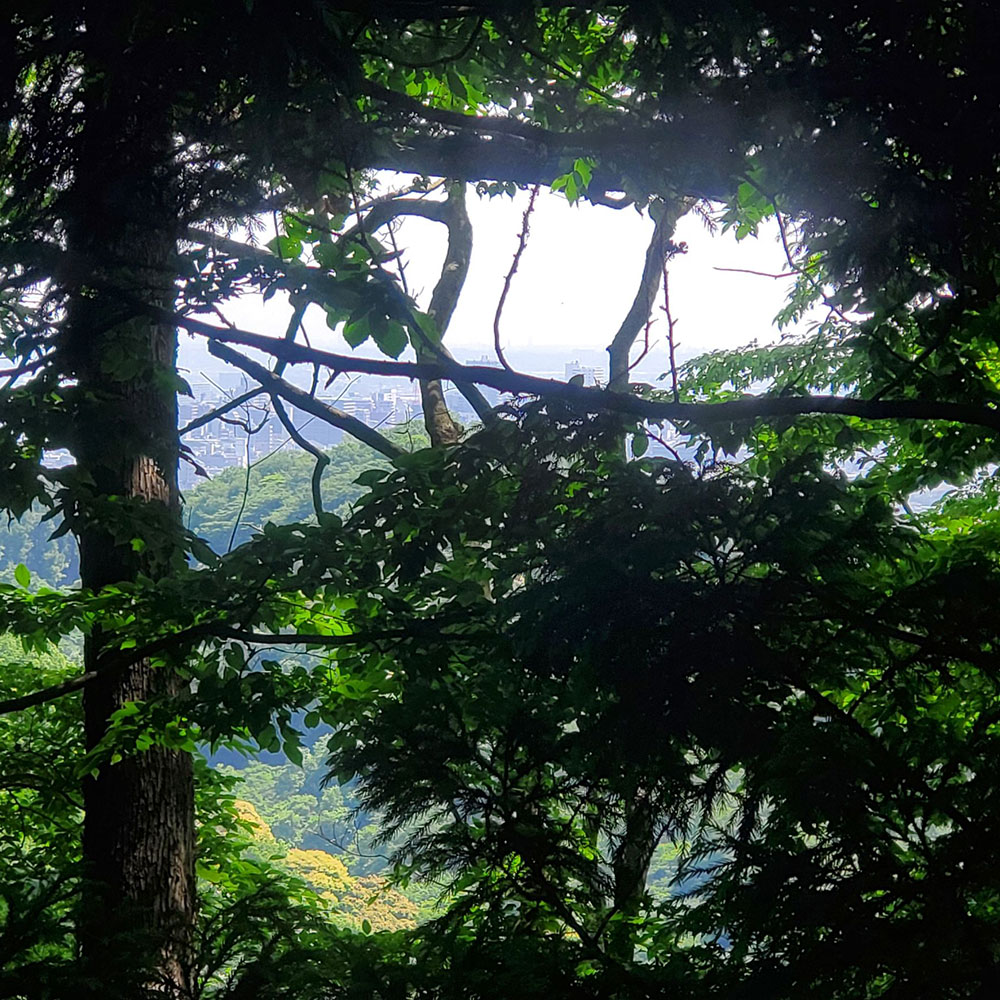 bushcraft campsite oiso shonan  kanagawa japan