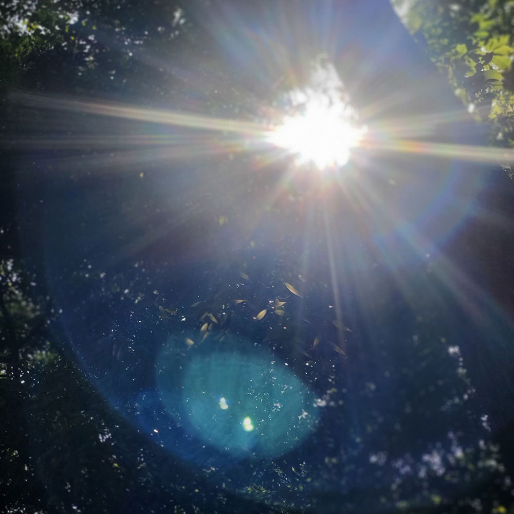 bushcraft campsite oiso shonan  kanagawa japan