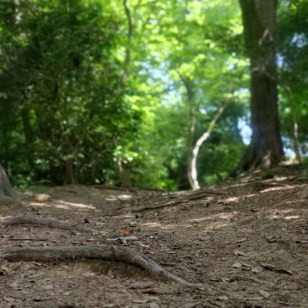 bushcraft campsite oiso shonan  kanagawa japan