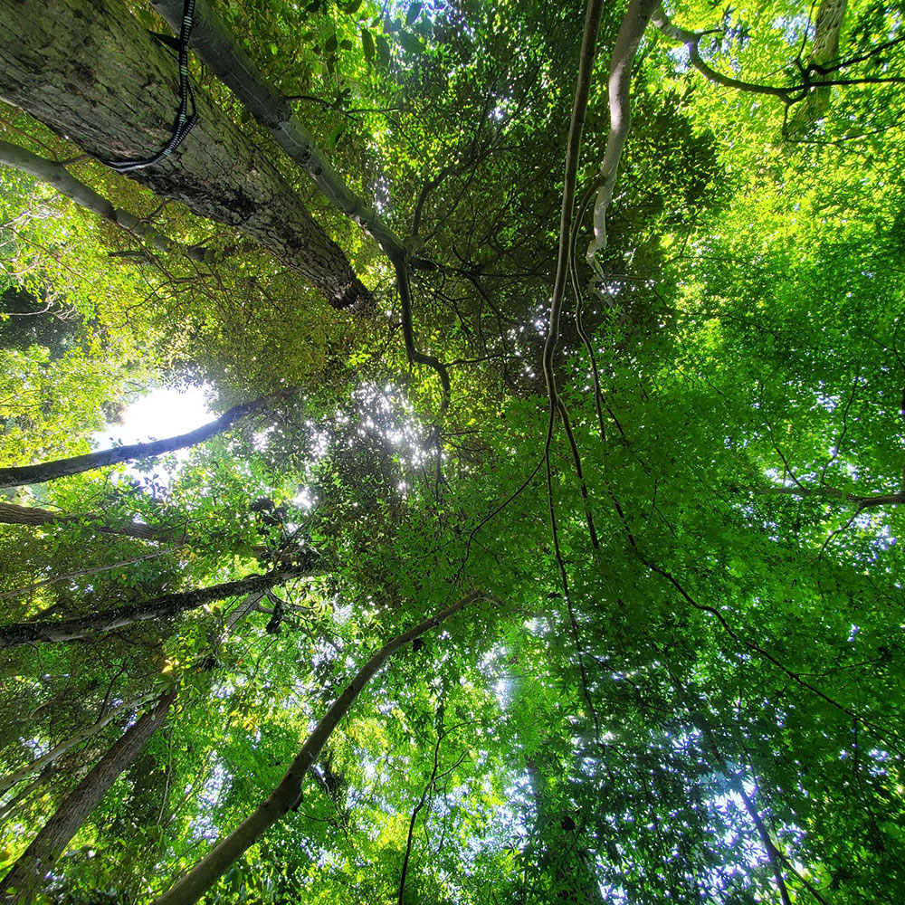 bushcraft campsite oiso shonan  kanagawa japan