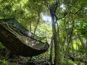 神奈川県中郡大磯町東小磯ブッシュクラフトキャンプ場