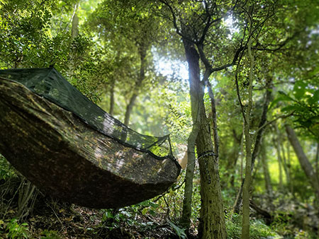 神奈川県中郡大磯町東小磯ブッシュクラフトキャンプ場