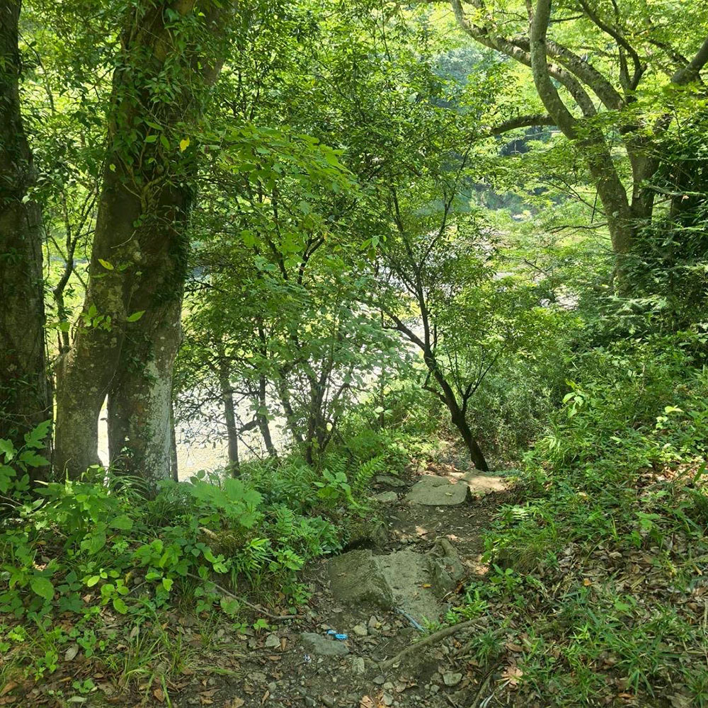 bushcraft campsite otsuki yamanashi japan