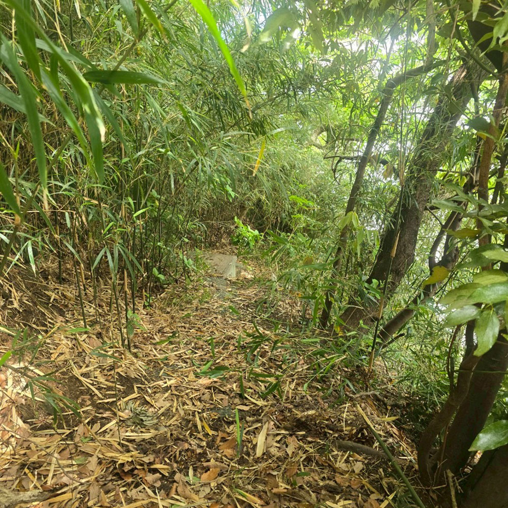 bushcraft campsite sajima yokosuka kanagawa japan
