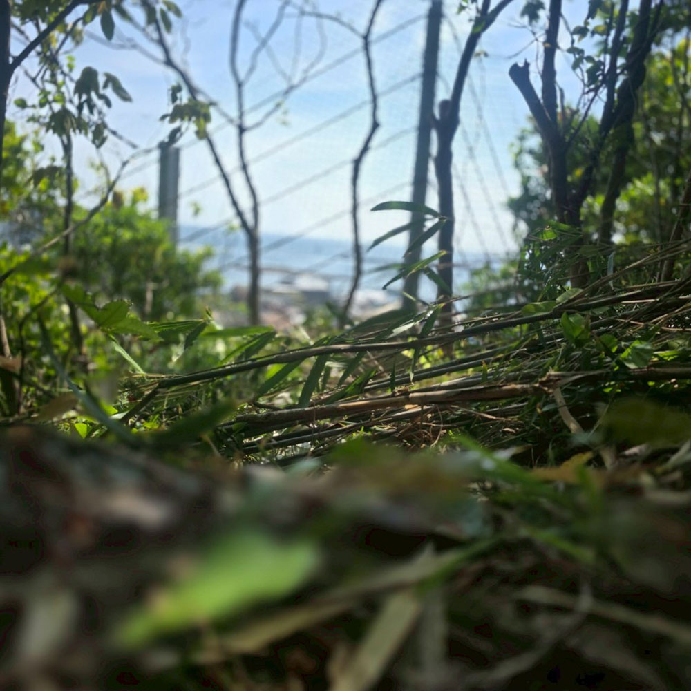 bushcraft campsite sajima yokosuka kanagawa japan