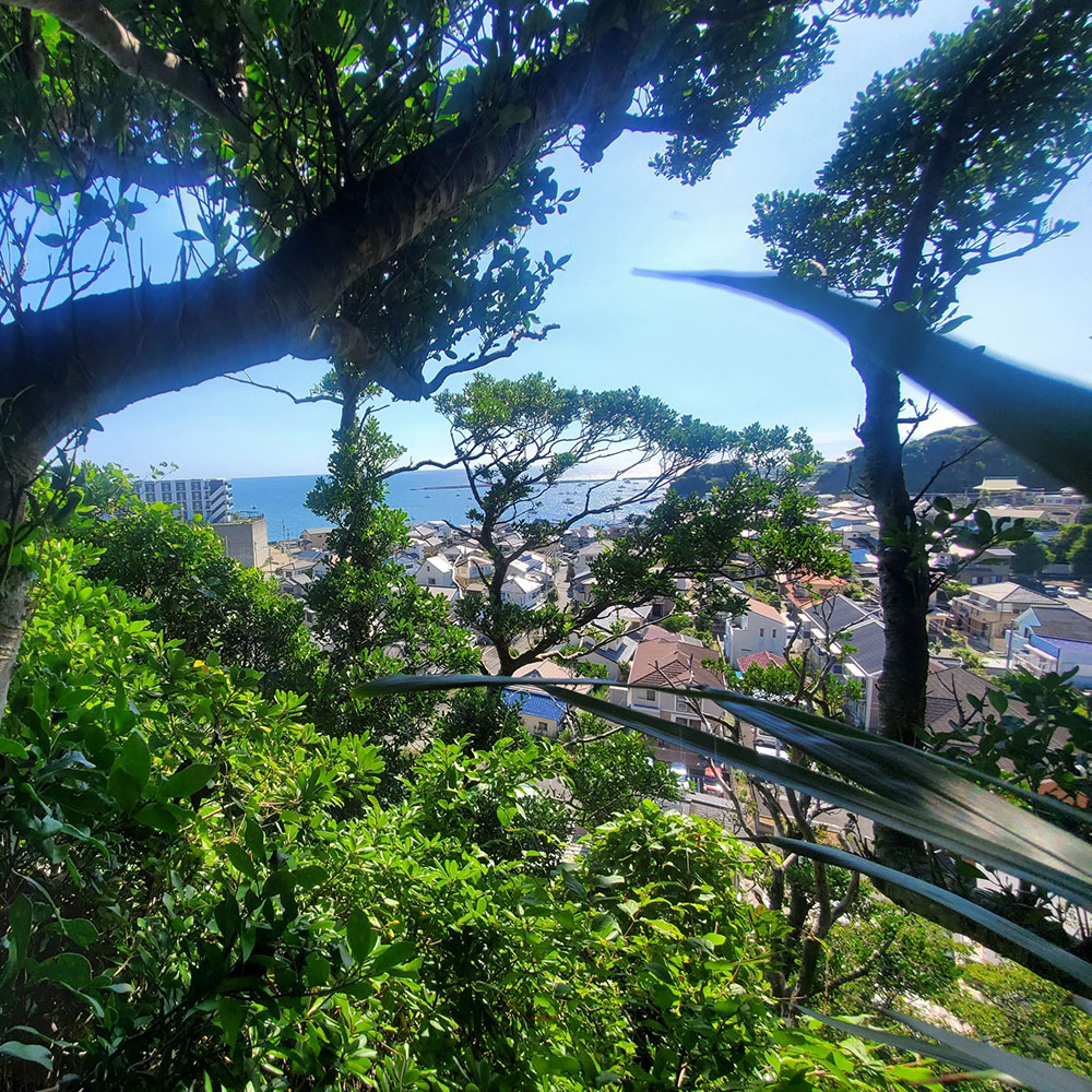 bushcraft campsite sajima yokosuka kanagawa japan