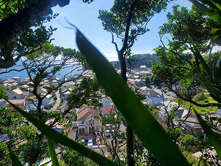 神奈川県横須賀市佐島ブッシュクラフトキャンプ場