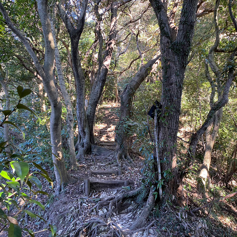 bushcraft campsite sakurayama zushi kanagawa japan