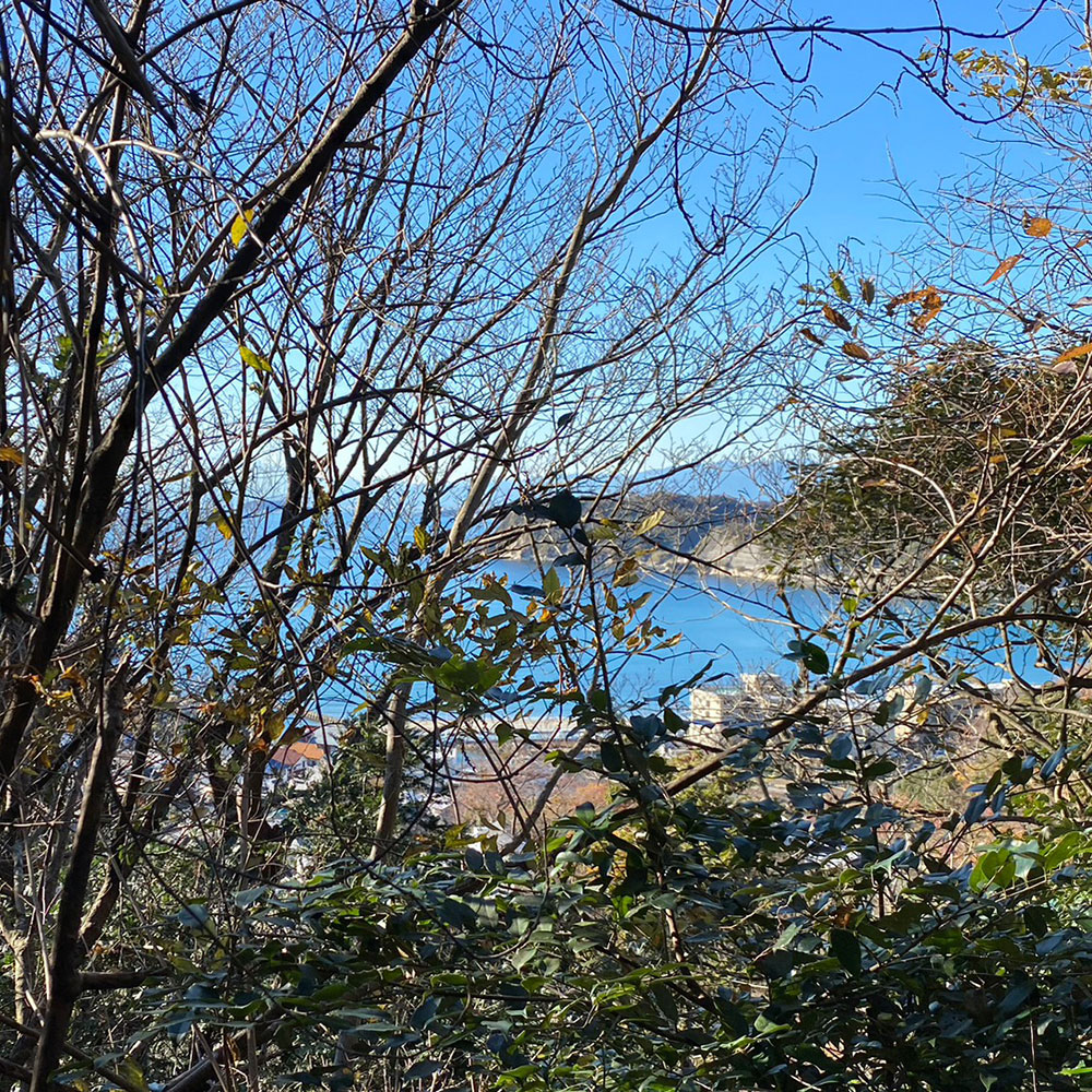 bushcraft campsite sakurayama zushi kanagawa japan