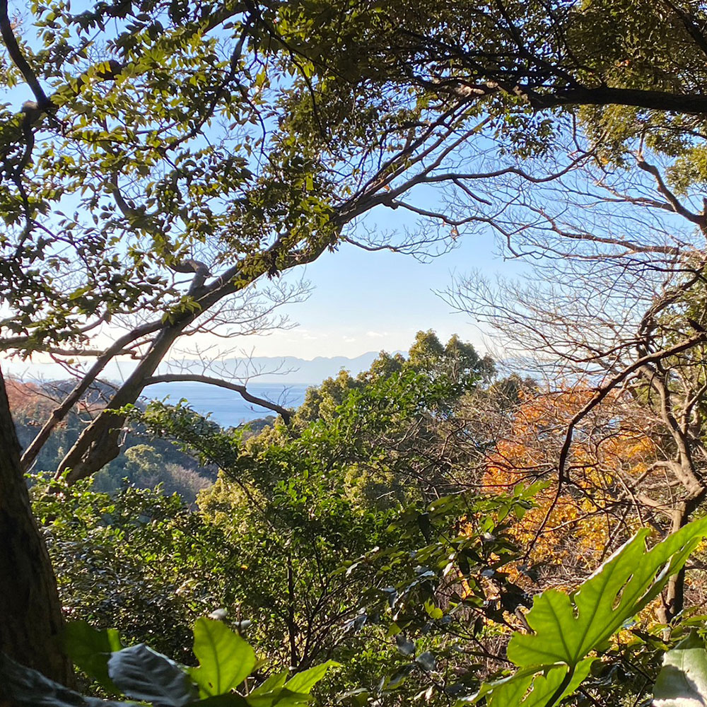 bushcraft campsite sakurayama zushi kanagawa japan