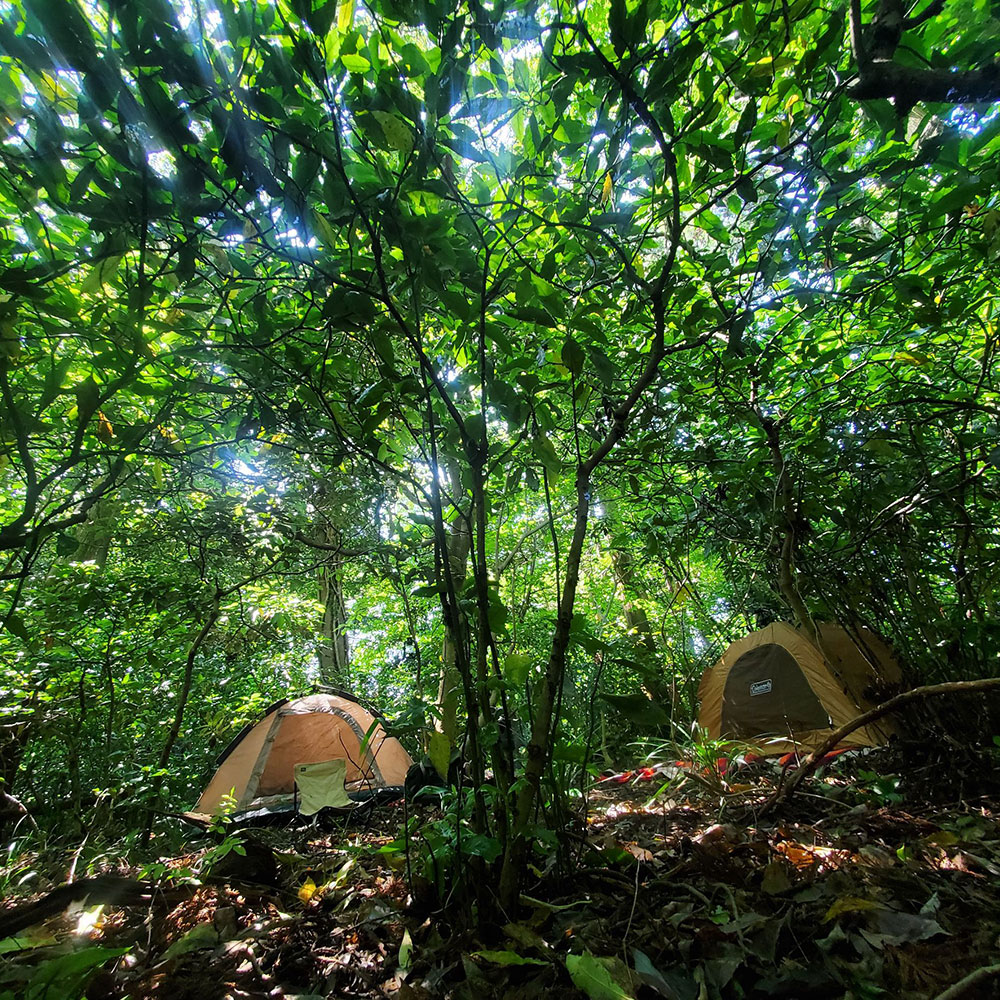 bushcraft campsite sakurayama zushi kanagawa japan