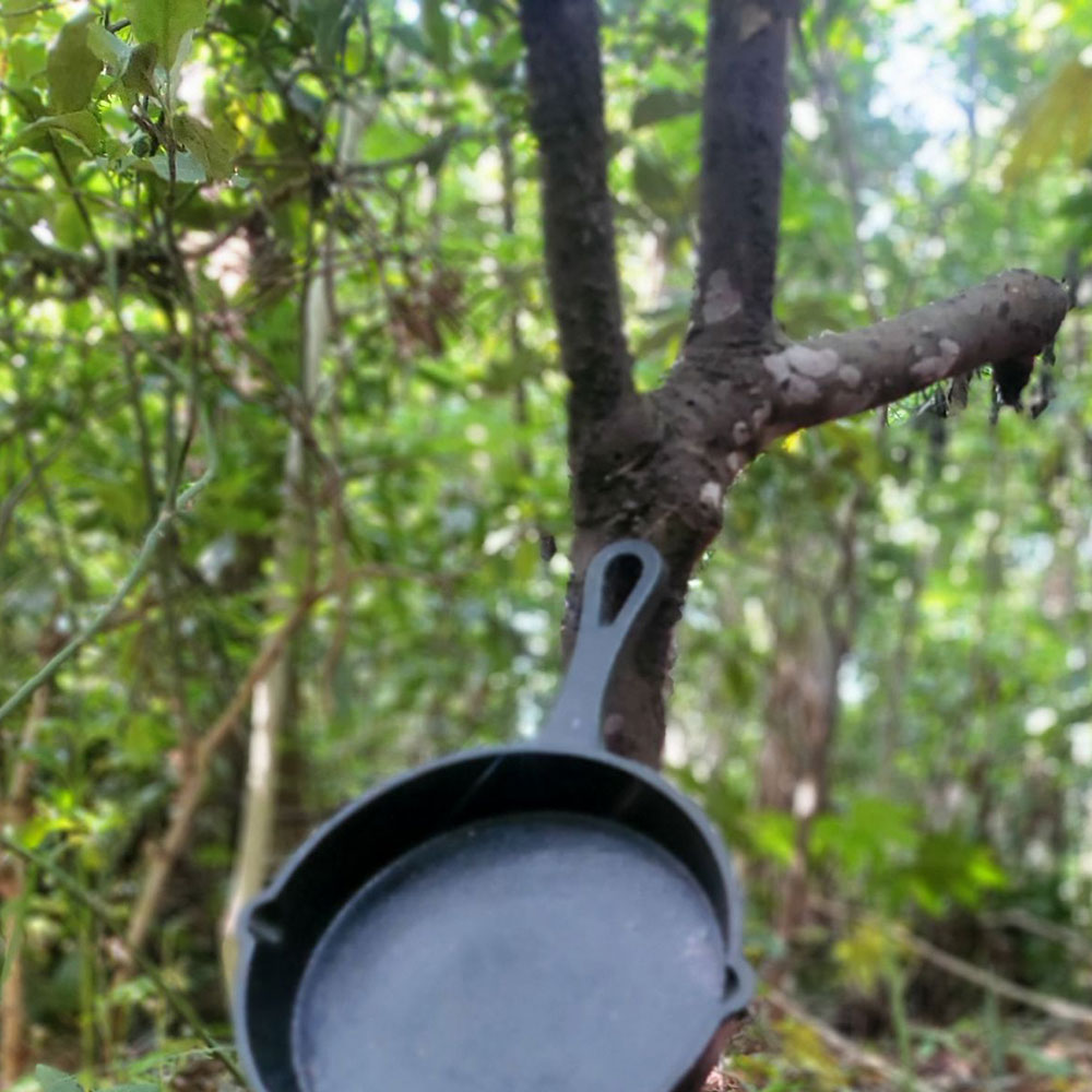 bushcraft campsite sakurayama zushi kanagawa japan