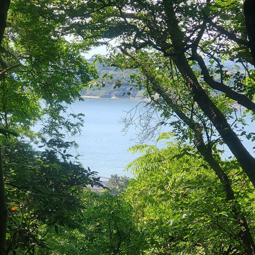 bushcraft campsite sakurayama zushi kanagawa japan