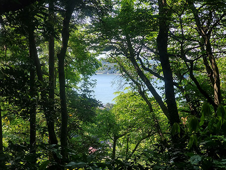 神奈川県逗子市桜山ブッシュクラフトキャンプ場