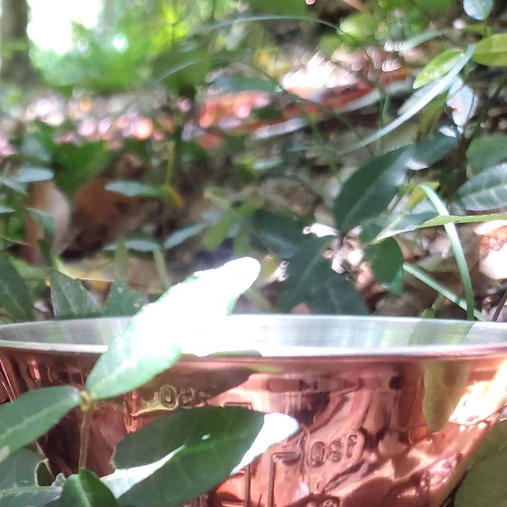 bushcraft campsite shonan takatori yokosuka kanagawa japan