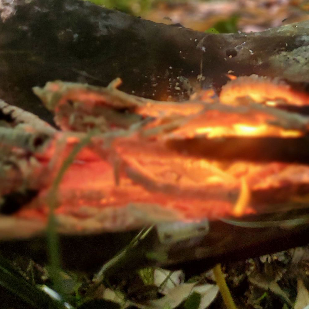 bushcraft campsite shonan takatori yokosuka kanagawa japan