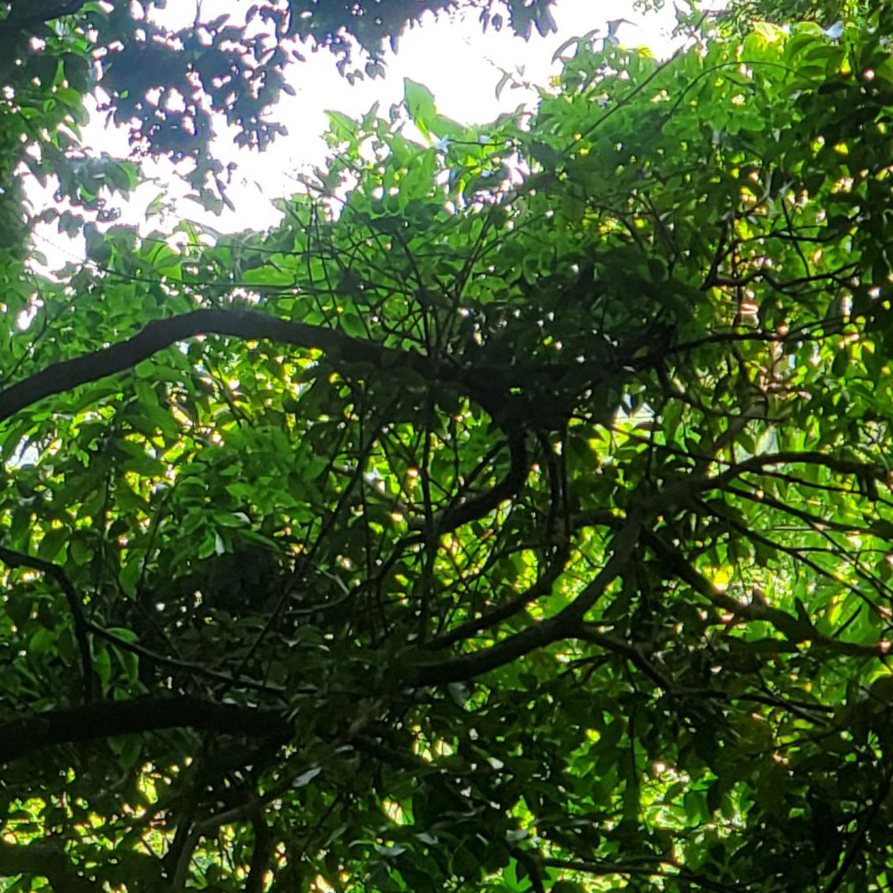 bushcraft campsite shonan takatori yokosuka kanagawa japan