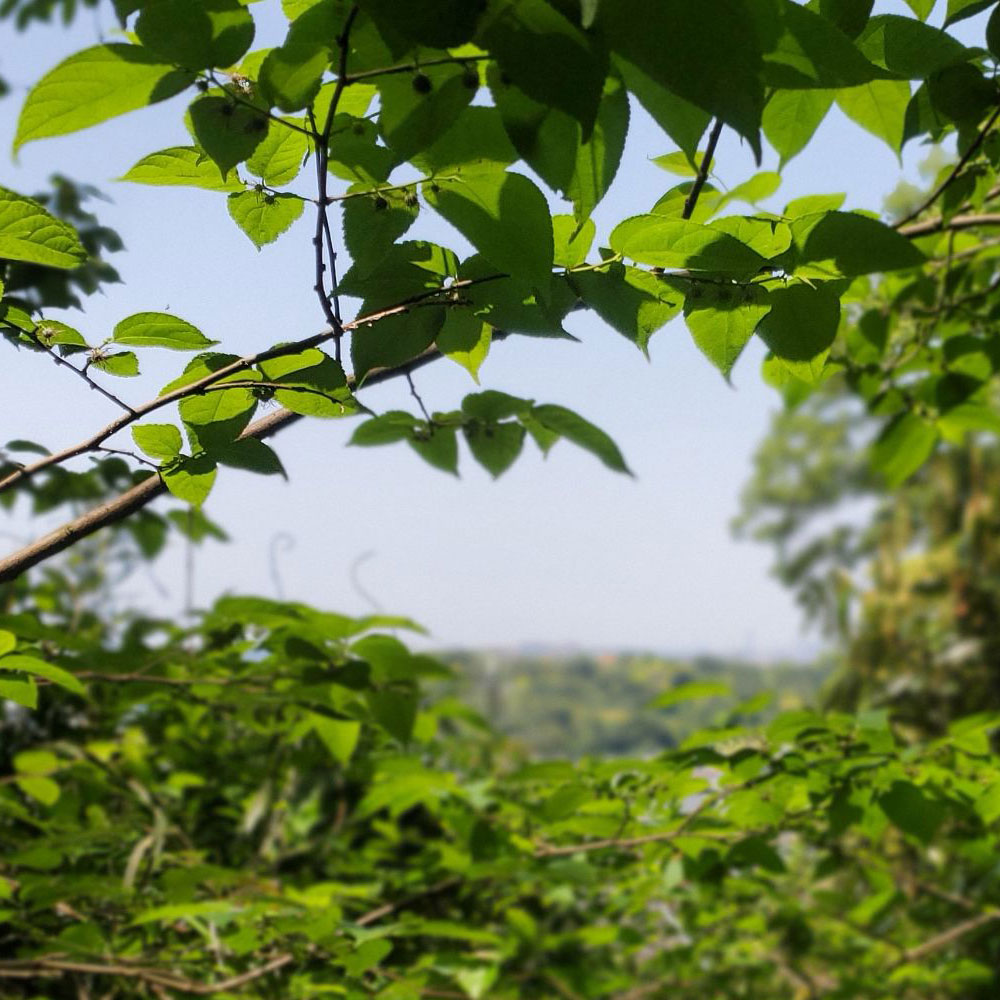 bushcraft campsite shonan takatori yokosuka kanagawa japan