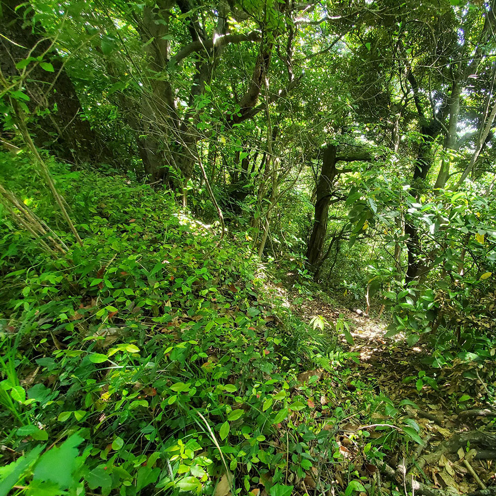 bushcraft campsite shonan takatori yokosuka kanagawa japan