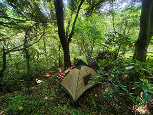 神奈川県横須賀市湘南鷹取ブッシュクラフトキャンプ場