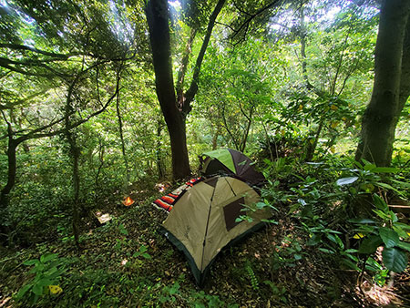 神奈川県横須賀市湘南鷹取ブッシュクラフトキャンプ場