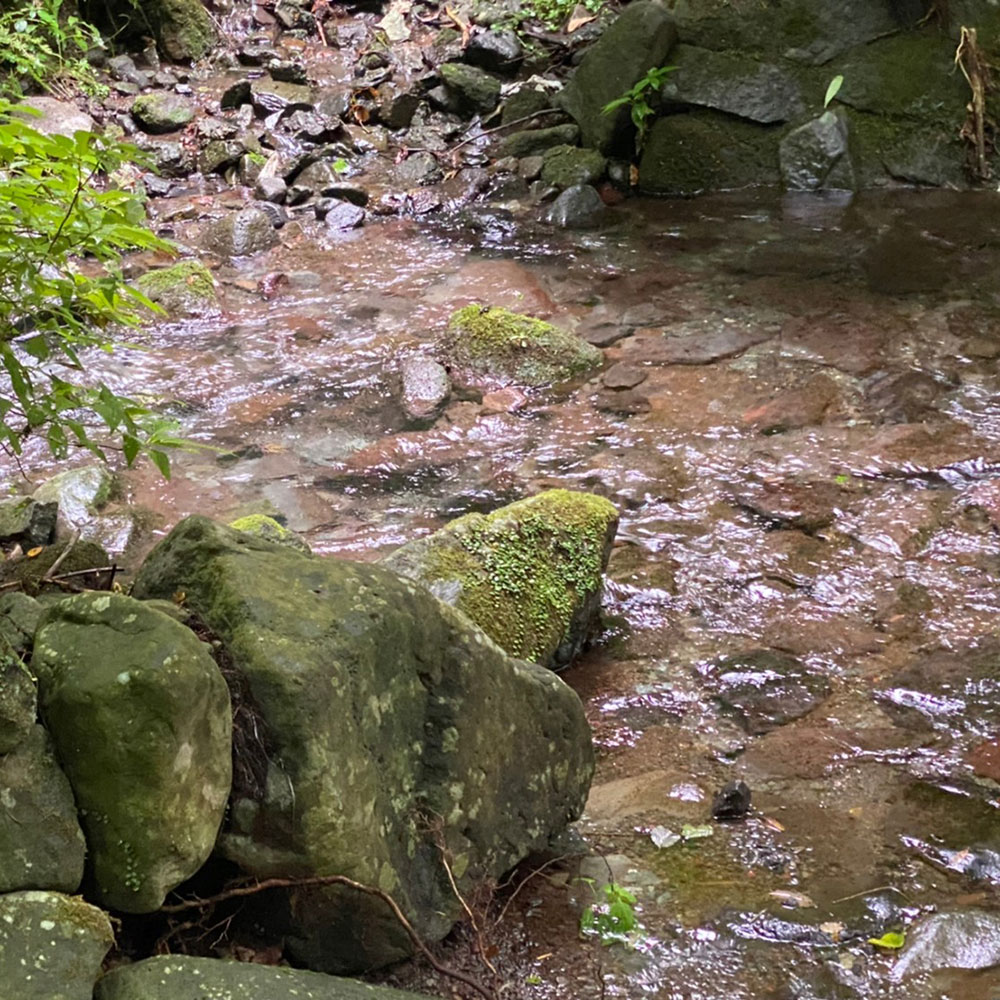 bushcraft campsite sukumogawa hakone kanagawa japan