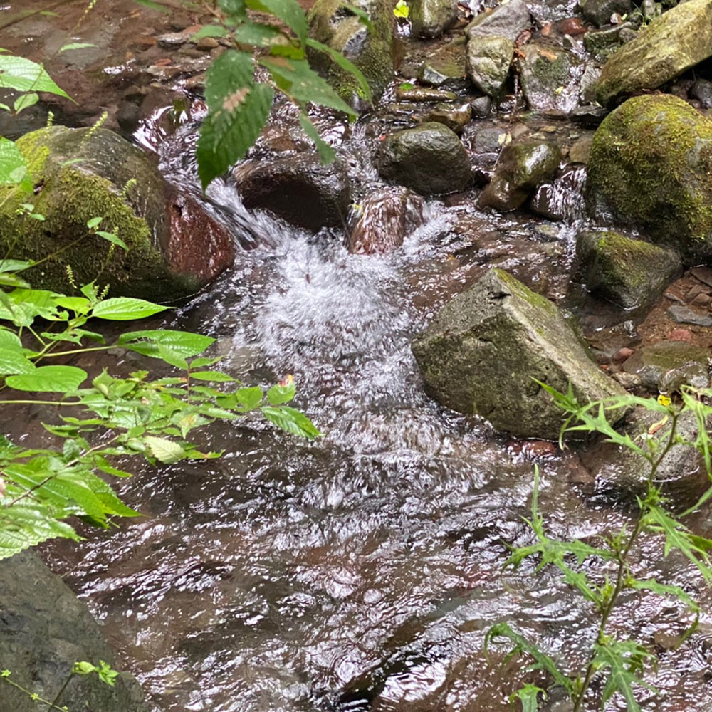 bushcraft campsite sukumogawa hakone kanagawa japan