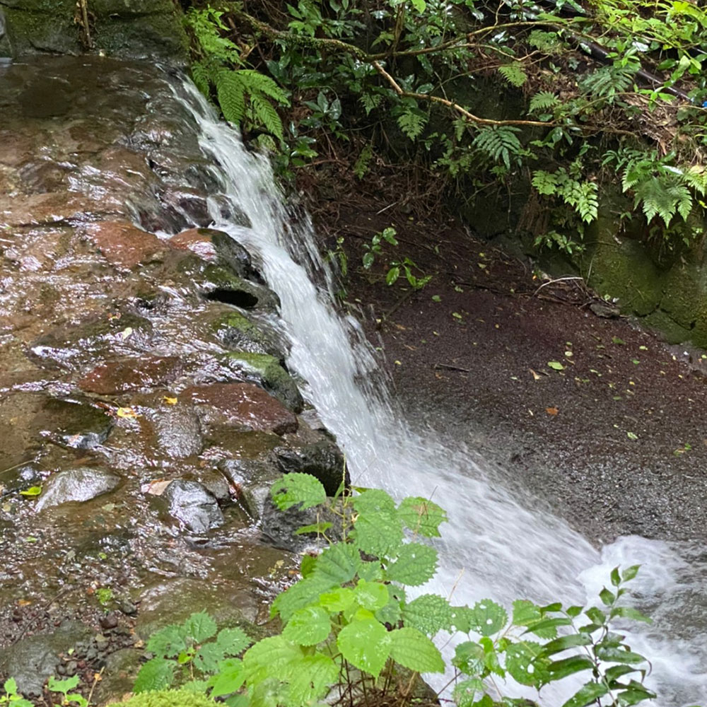 bushcraft campsite sukumogawa hakone kanagawa japan