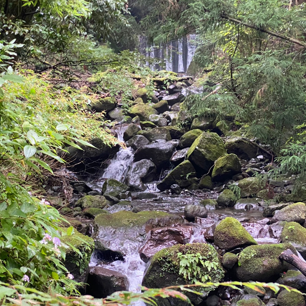 bushcraft campsite sukumogawa hakone kanagawa japan