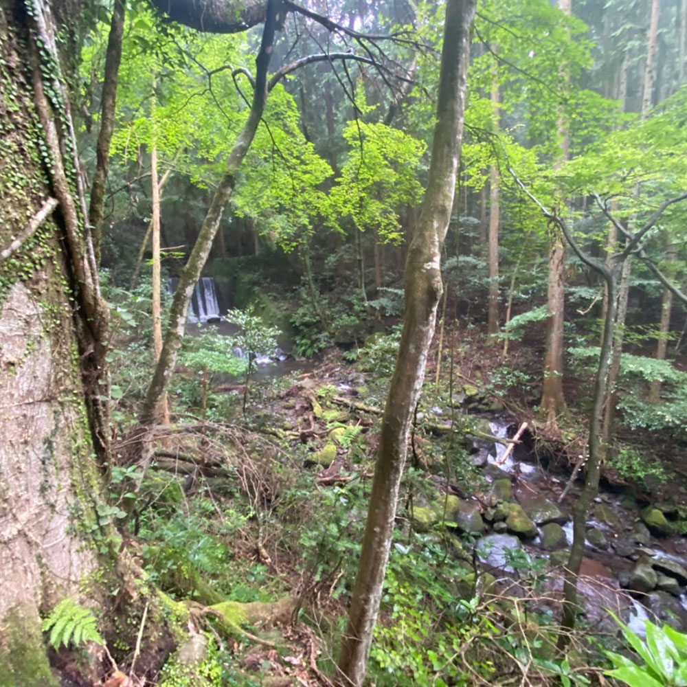 bushcraft campsite sukumogawa hakone kanagawa japan