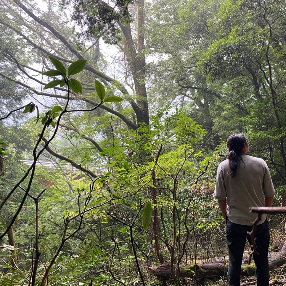 bushcraft campsite sukumogawa hakone kanagawa japan