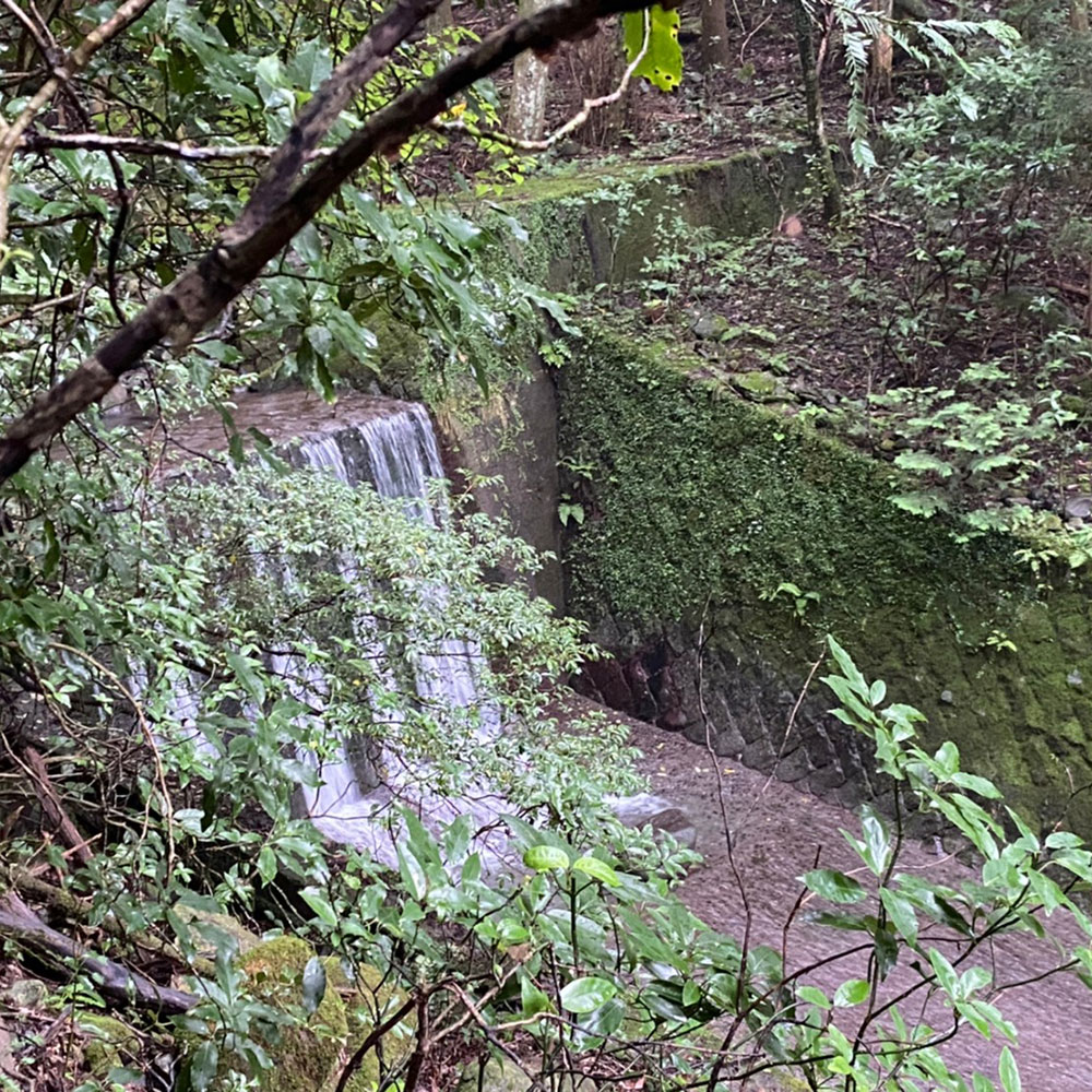 bushcraft campsite sukumogawa hakone kanagawa japan