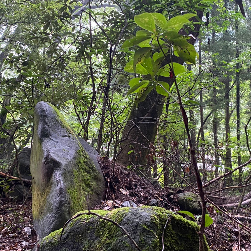 bushcraft campsite sukumogawa hakone kanagawa japan