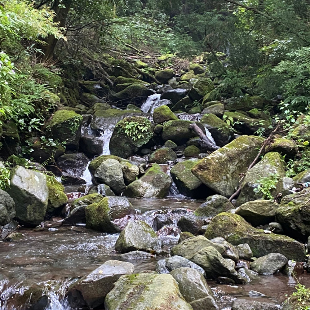bushcraft campsite sukumogawa hakone kanagawa japan
