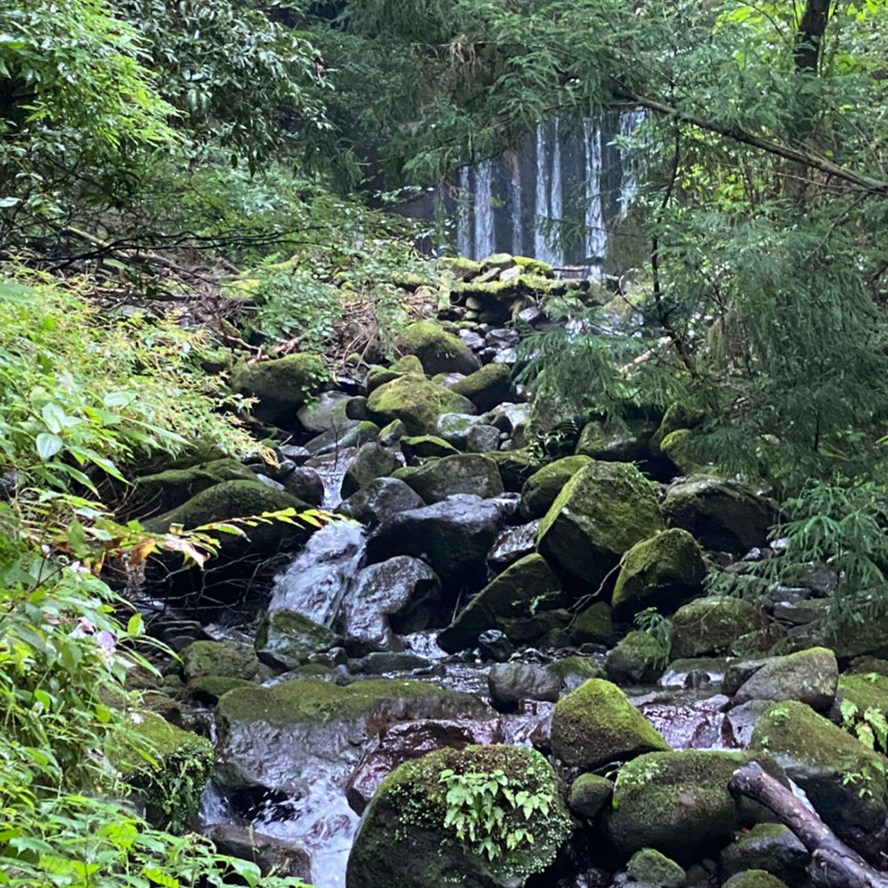 bushcraft campsite sukumogawa hakone kanagawa japan