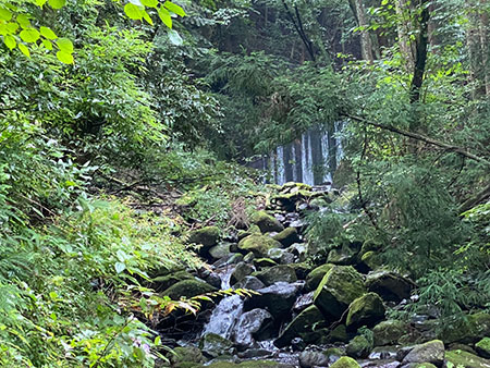 神奈川県足柄下郡箱根町須雲川ブッシュクラフトキャンプ場
